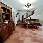 Rural Juana * Alles