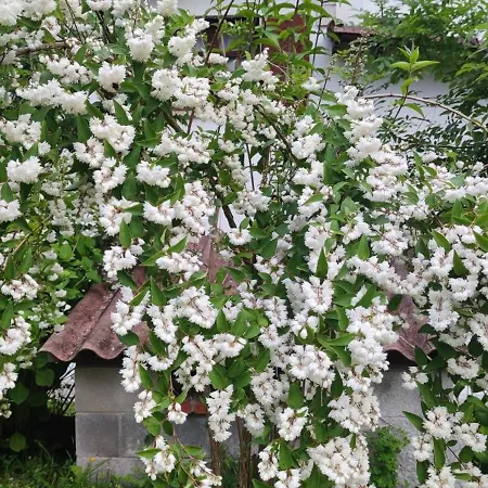 Apartmán Rural Juana